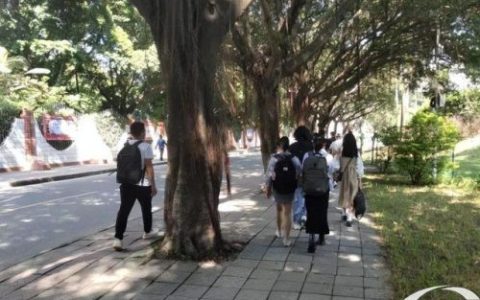 广东民办技校排名前十(深圳中专技校排名)