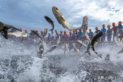 淳安旅游景点(淳安旅游景点有哪些)插图19