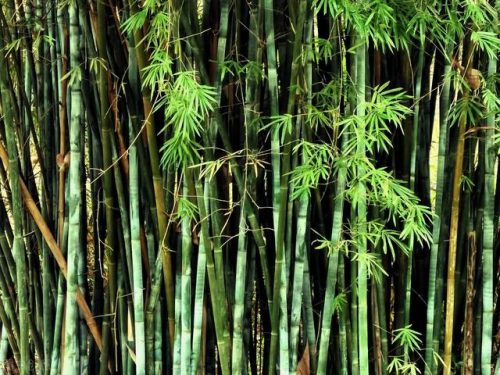 南宁休闲基地排名前十(南宁吃喝玩乐一体的地方)插图38