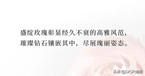 璀璨玫瑰(璀璨之花)插图1