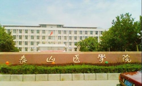 山东中专卫校排名前十(山东省理科类第一名大学)插图8