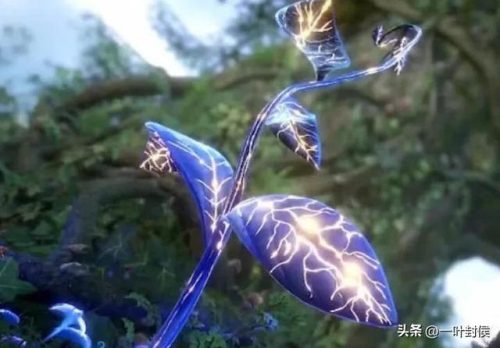魂兽天赋排名前十(魂兽种类大全)插图12