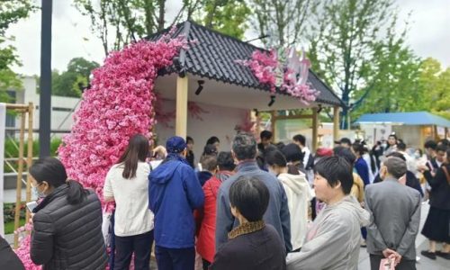 龙华庙会(龙华庙会时间表)插图16