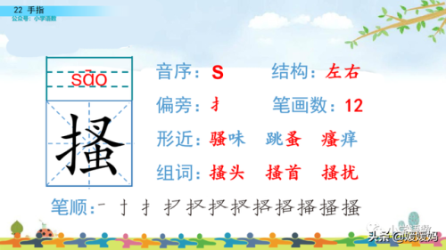拇组词组(拇指的拇还能组哪些词)插图13