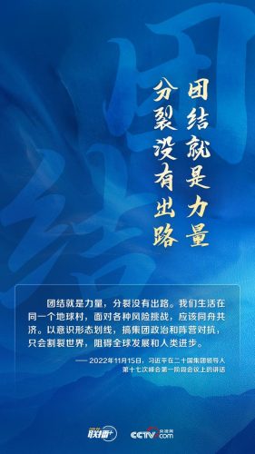 联合国宪章(联合国条约库)插图6