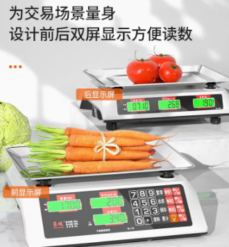 电子秤什么牌子好(衡器十大名牌)插图2