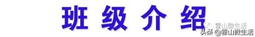 合肥韩语中学排名前十(合肥双语国际学校)插图3
