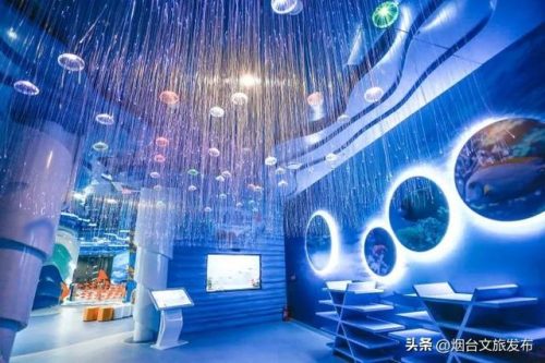 烟台音响(音索益音响烟台有限公司)插图26