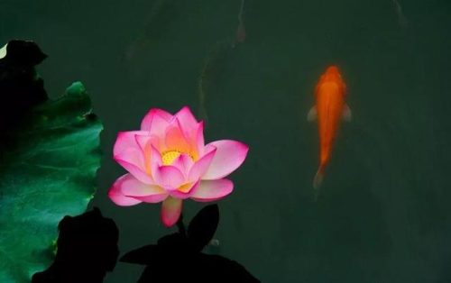江南乐府民歌(江南民歌小调二十首)插图4