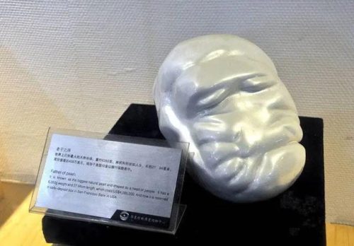 世界珍珠品种排名前十(珍珠品种大全)插图21