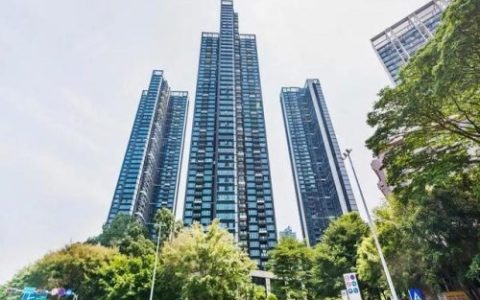 深圳真实豪宅排名前十(深圳豪宅线标准)