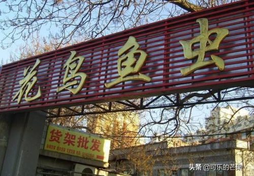 石家庄服装批发市场(石家庄服装批发市场在哪)插图19