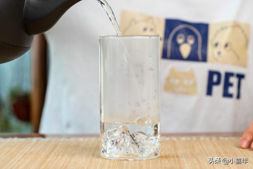 毛峰茶的泡法(信阳毛尖泡法)插图7