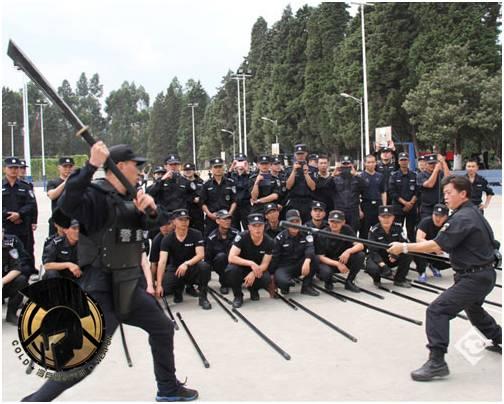 警用古兵器排名前十(中国古兵器大全)插图5