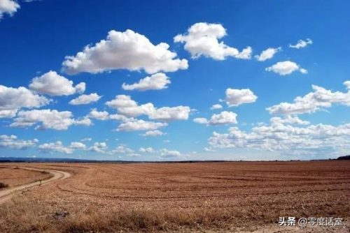 罗伯特纳维利斯(罗伯特·纳维利斯什么时候出生的)插图18