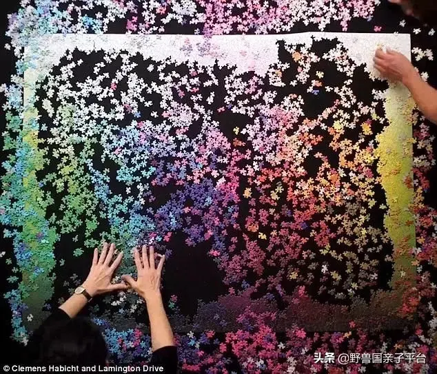 拼图最强品牌排名前十(最强大脑14巧板拼图法)插图8