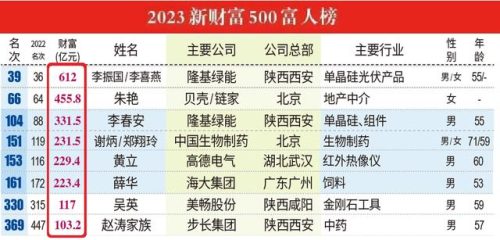 中国西北富豪排名前十(全国富豪top 10)插图10