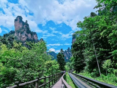 张家界著名旅游景点(张家界的旅游景点大全)插图31