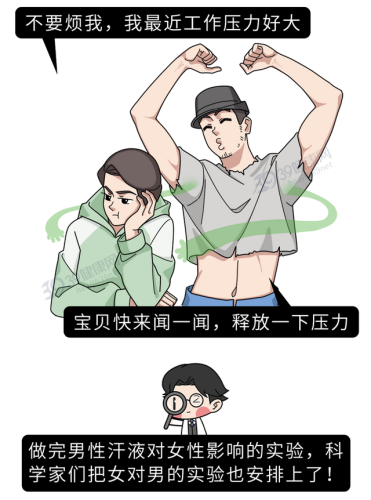 同志催情(rush是什么东西的中文名)插图11