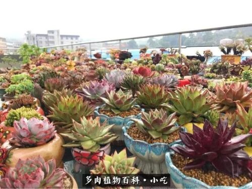 归路百度百科(归路演员表)插图12