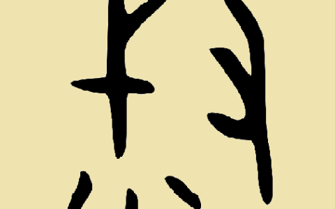 叔的笔顺(叔又叫大字咋写)
