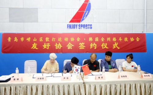 韩国武术社团排名前十(武术社团活动记录)插图