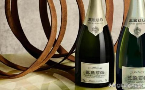 香槟红酒名牌排名前十(香槟酒推荐)