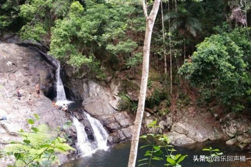 悉尼潜水设施排名前十(悉尼最危险的十个区)插图50