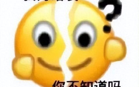 重庆烧烤外卖排名前十(重庆出名的烧烤店)