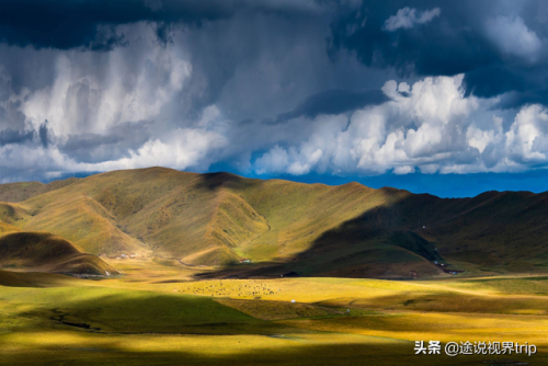 新疆顶级牧场排名前十(叶城二牧场)插图14