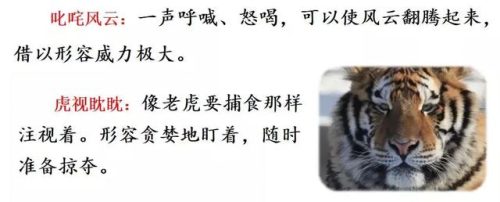 僵字组词(庄组词有)插图14