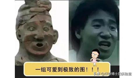 粉木耳什么意思(粉_木耳)插图19