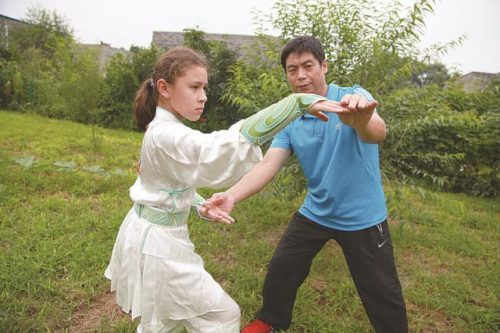 通州武术高手排名前十(武术九段多厉害)插图5