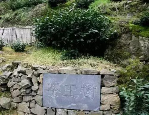 最贵的中国香烟排行榜(中国十大顶级香烟)插图63