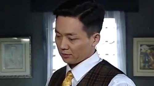 大染坊剧情介绍(大染坊续集1至45集)插图10
