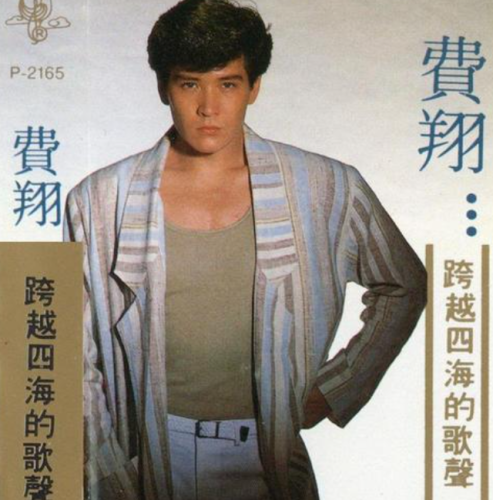 费翔的老婆(费翔与刘文正什么关系)插图48