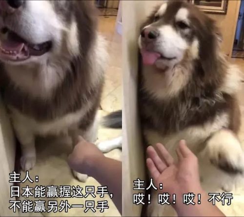 微博红人排行榜男(男网红排名前十)插图9