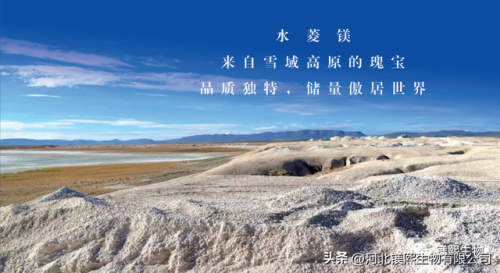 镁砂回收厂家排名前十(高纯镁砂的用途和价格)插图3
