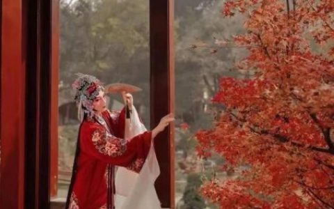 金马玉堂是什么意思(金玉马堂的含义)