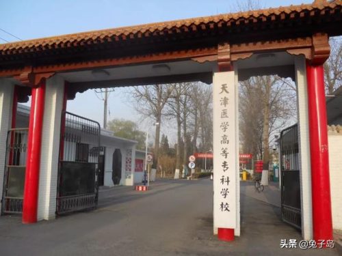 天津高职排名前十专业(单招学校有哪些专业)插图5