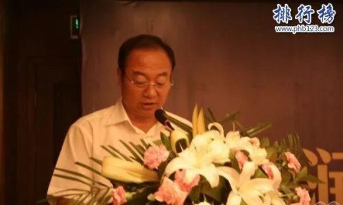 2015河南富豪排行榜(河南前100名富豪)插图8