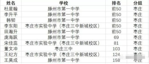 枣庄前十的小学排名(2019枣庄十五东校招生范围)插图16