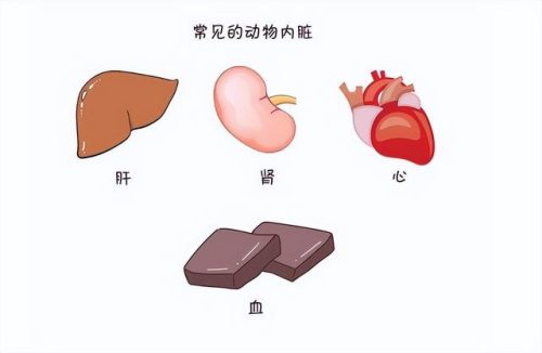 补气血的食物排行榜(男人气血双补最好的药)插图3