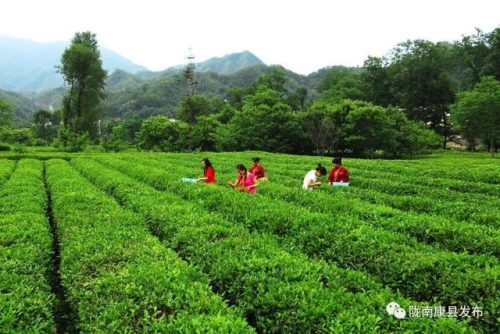 康县宾馆排名前十酒店(康县酒吧)插图37