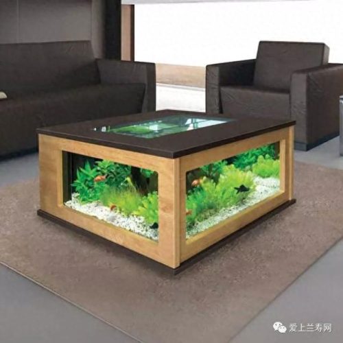 十大鱼缸品种排行榜(十大鱼缸排名前十名)插图2