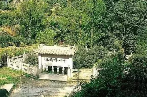 最贵的中国香烟排行榜(中国十大顶级香烟)插图62