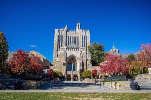 世界十大权威大学排行榜(世界十强大学排行榜)插图3