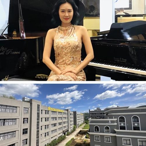 德国钢琴十大排行榜(德国最好的钢琴是什么牌子)插图