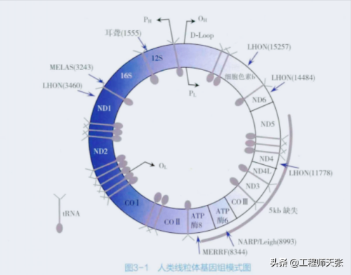 杭州杀妻案细节(杭州妻子消失案全过程)插图6
