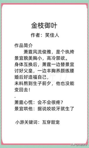 笑佳人小说排行榜(十二本笑佳人的小说推荐)插图14